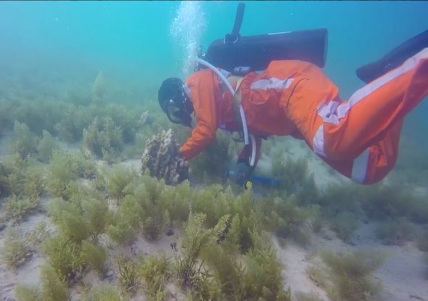 壹定发(中国游)官方网站