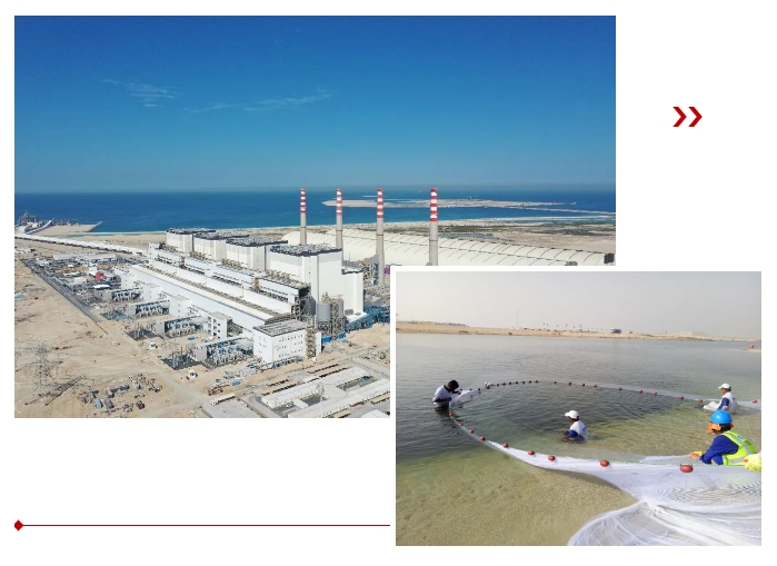 壹定发(中国游)官方网站