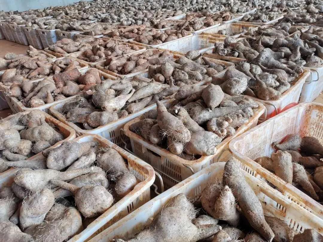 壹定发(中国游)官方网站