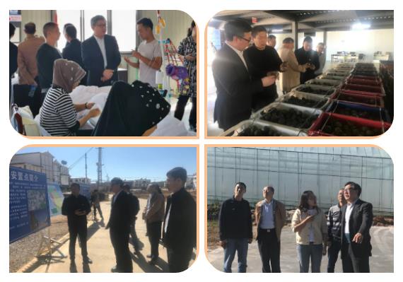 壹定发(中国游)官方网站