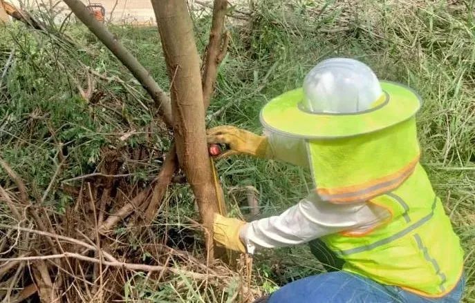 壹定发(中国游)官方网站