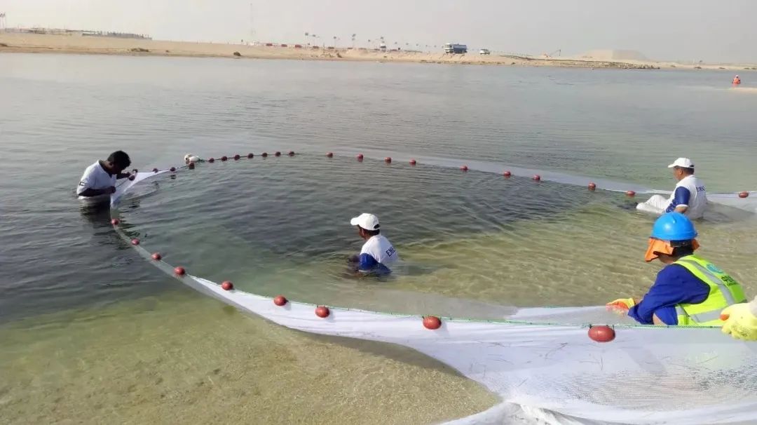 壹定发(中国游)官方网站