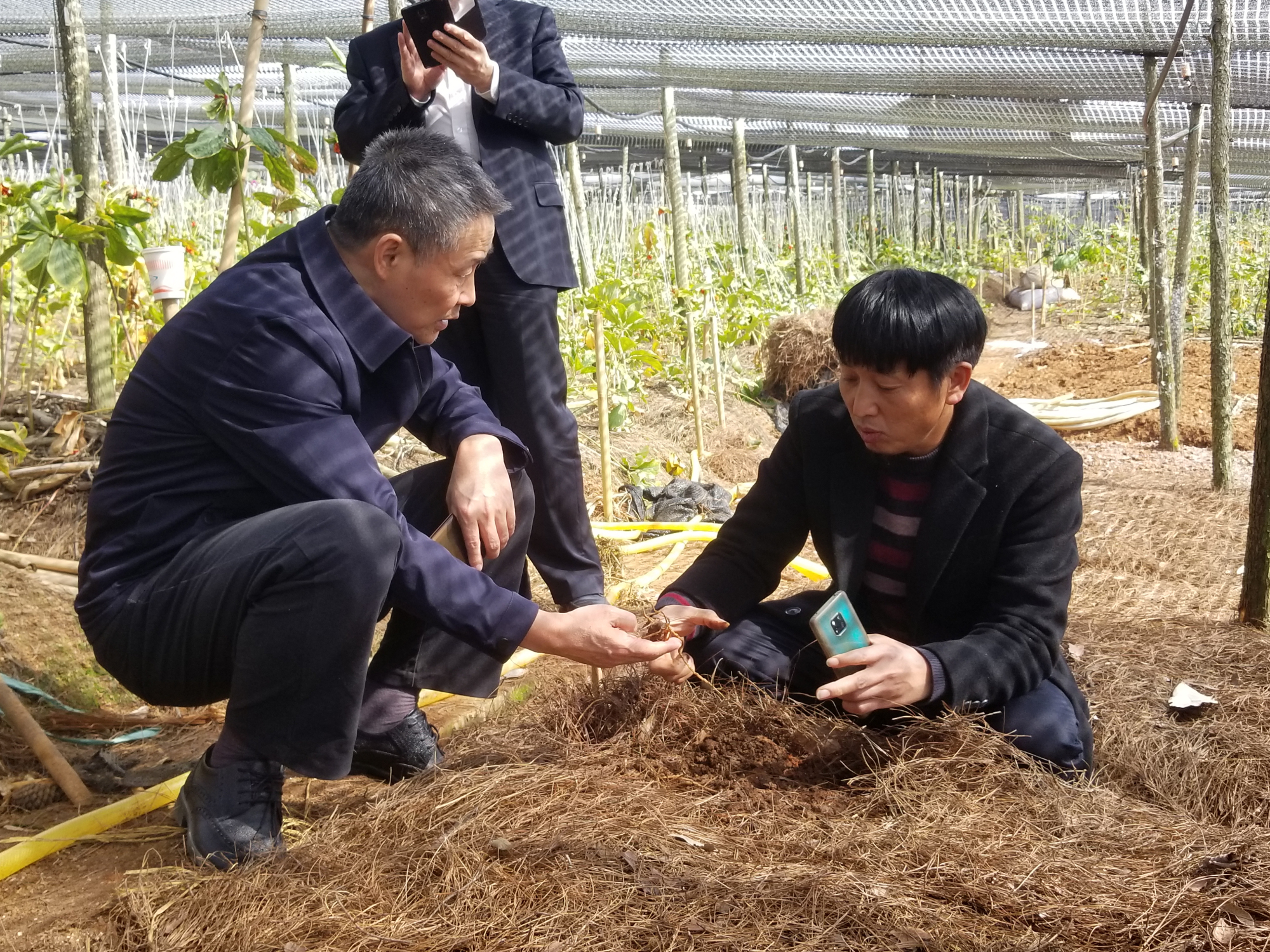 壹定发(中国游)官方网站