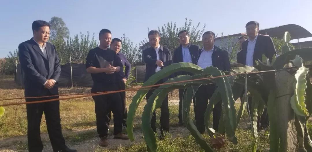 壹定发(中国游)官方网站