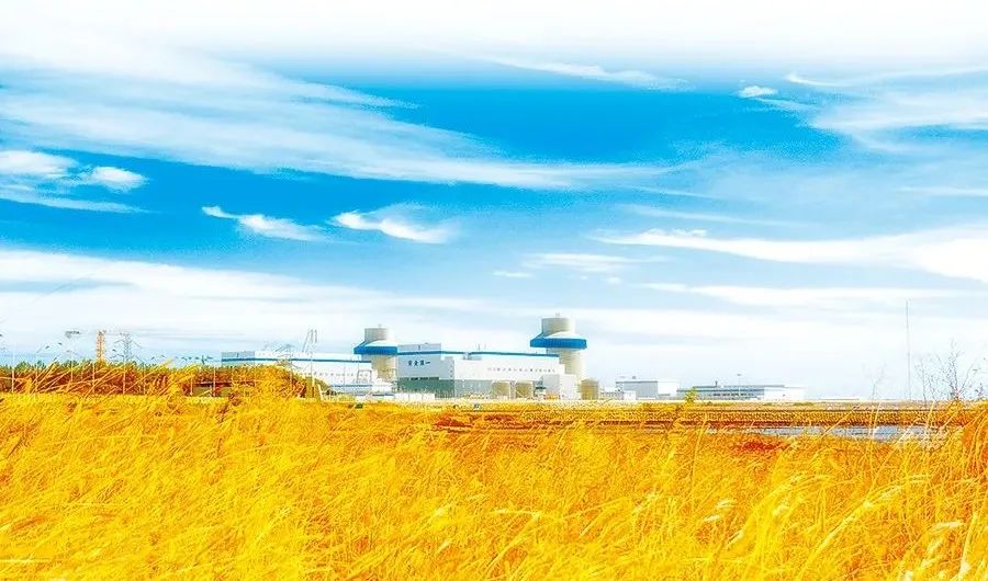 壹定发(中国游)官方网站