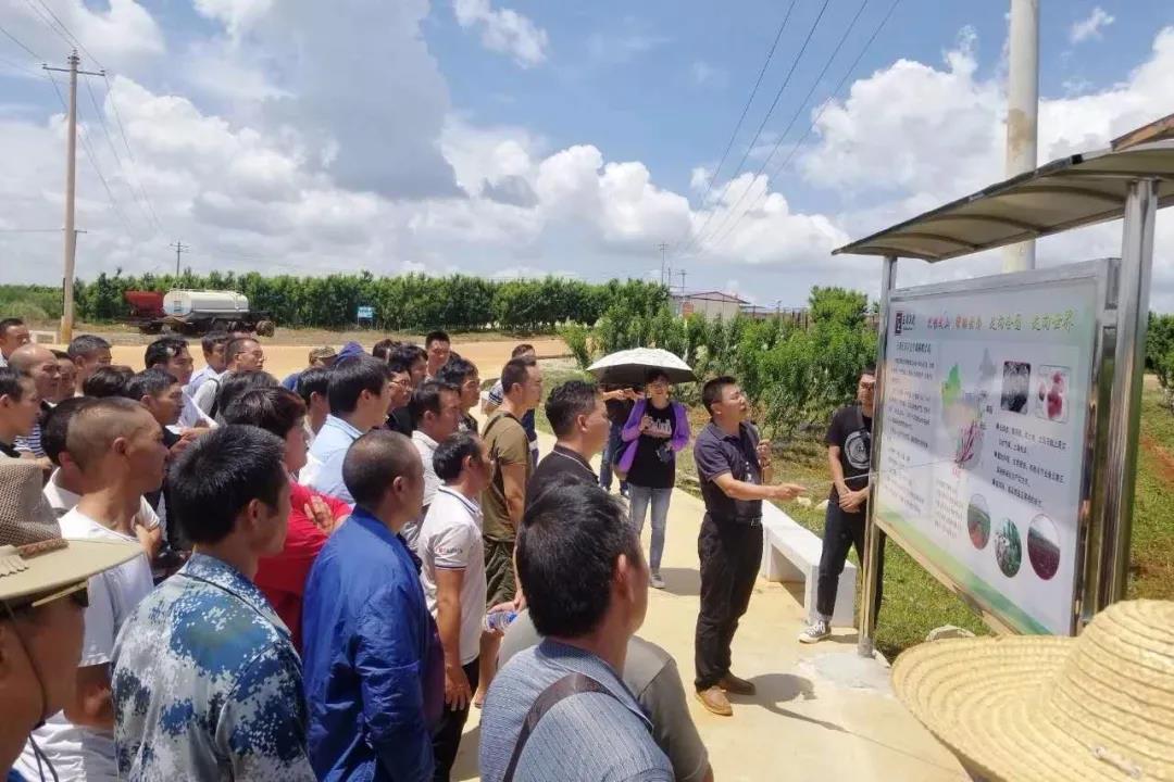 壹定发(中国游)官方网站