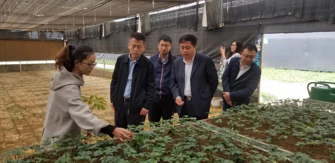 壹定发(中国游)官方网站