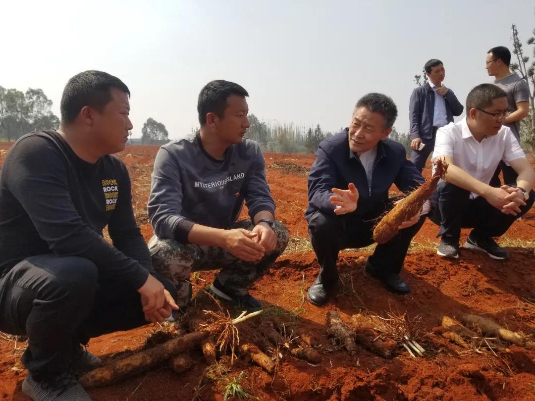 壹定发(中国游)官方网站