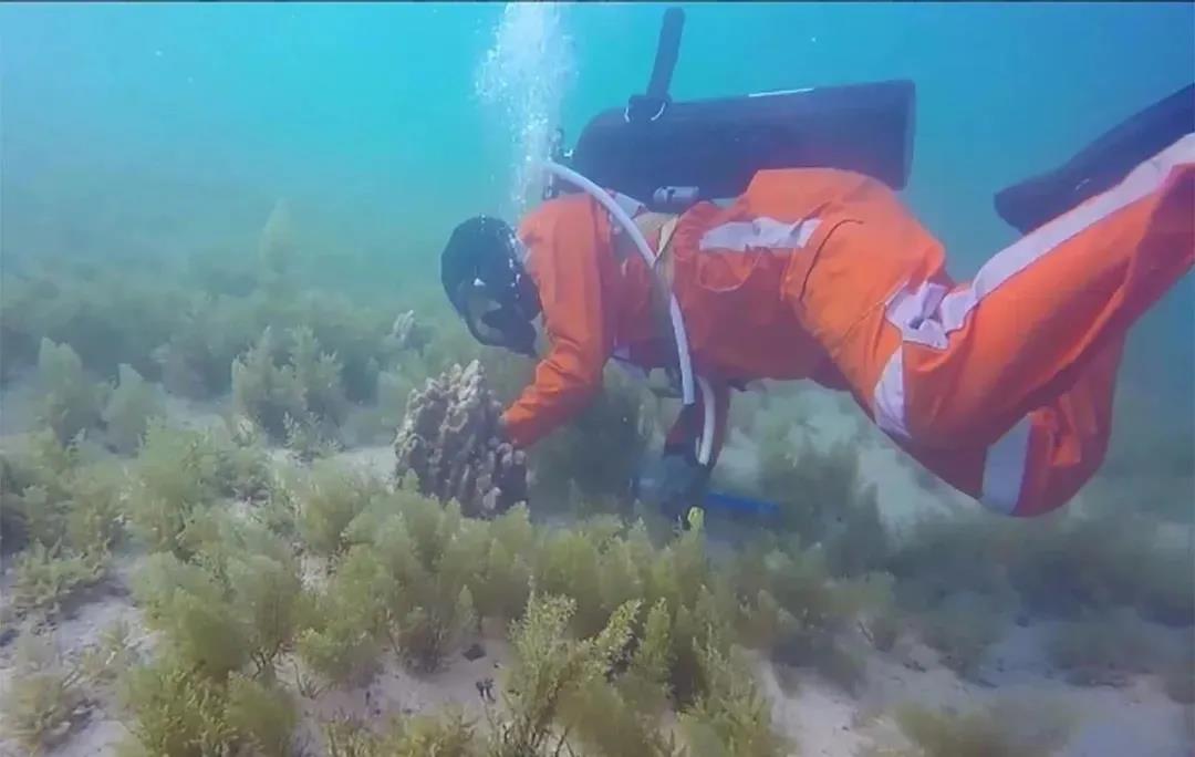 壹定发(中国游)官方网站